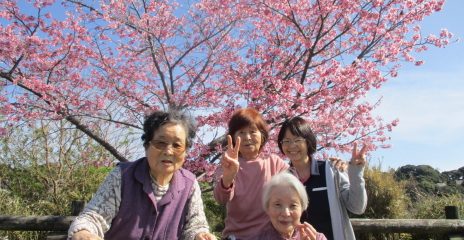 脳活性化プログラム